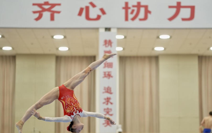 在开云真人中体验全球多元文化